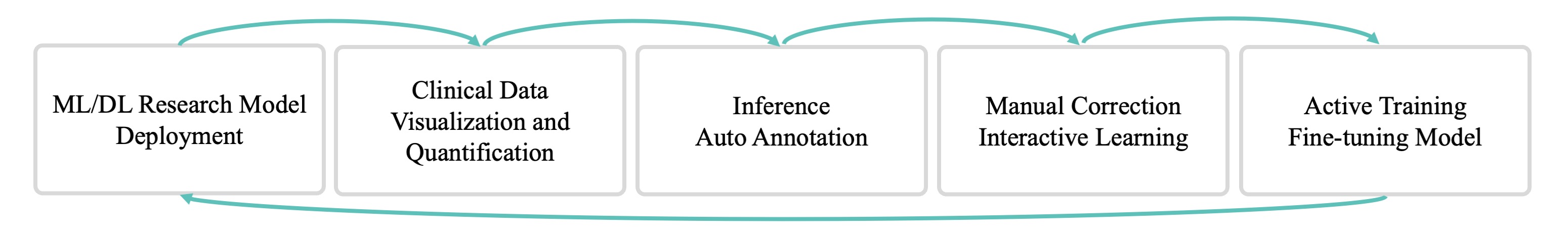 MONAI Label Auto Segmentation and Interactive Workflow
